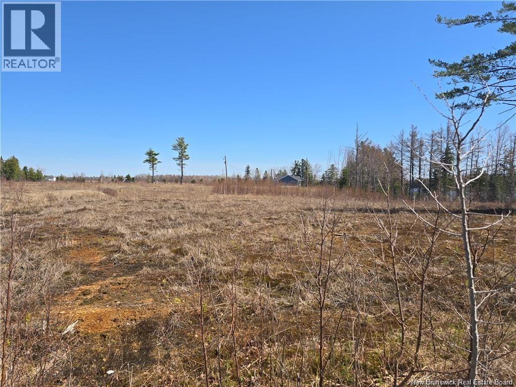 Acreage North Black River Road, Black River Bridge, New Brunswick E1N 5T3 - Photo 27 - NB140558