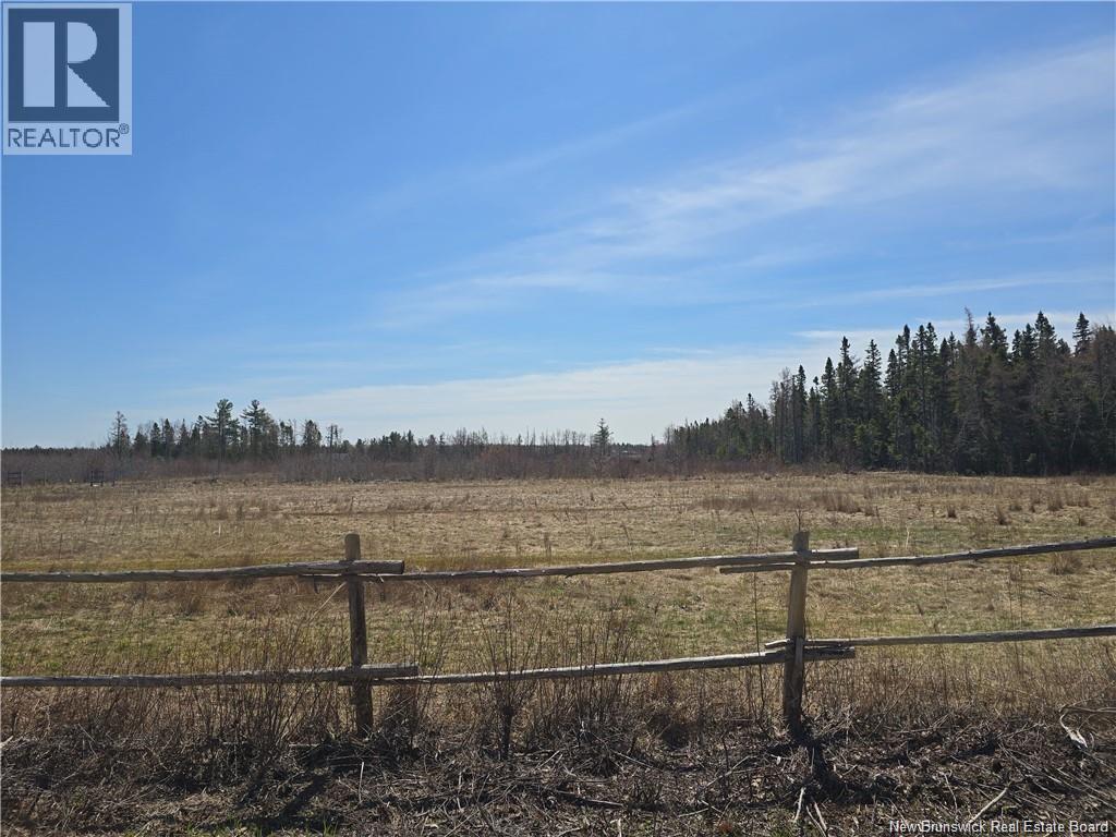 Acreage North Black River Road, Black River Bridge, New Brunswick E1N 5T3 - Photo 12 - NB140558