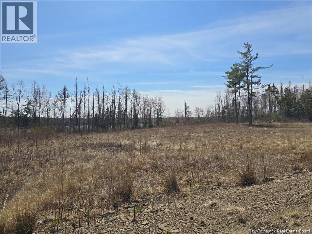 Acreage North Black River Road, Black River Bridge, New Brunswick E1N 5T3 - Photo 19 - NB140558