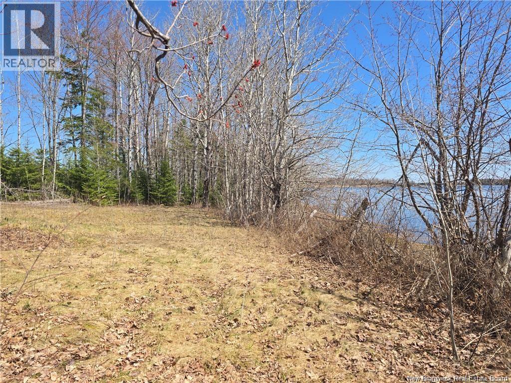 Acreage North Black River Road, Black River Bridge, New Brunswick E1N 5T3 - Photo 11 - NB140558
