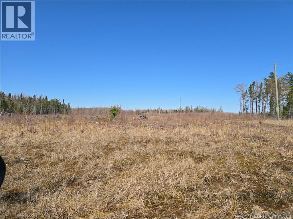 Acreage North Black River Road, Black River Bridge, New Brunswick E1N 5T3 - Photo 18 - NB140558