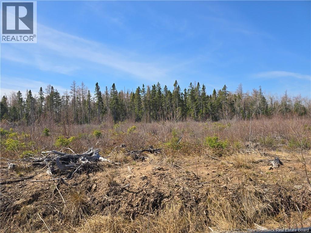 Acreage North Black River Road, Black River Bridge, New Brunswick E1N 5T3 - Photo 17 - NB140558