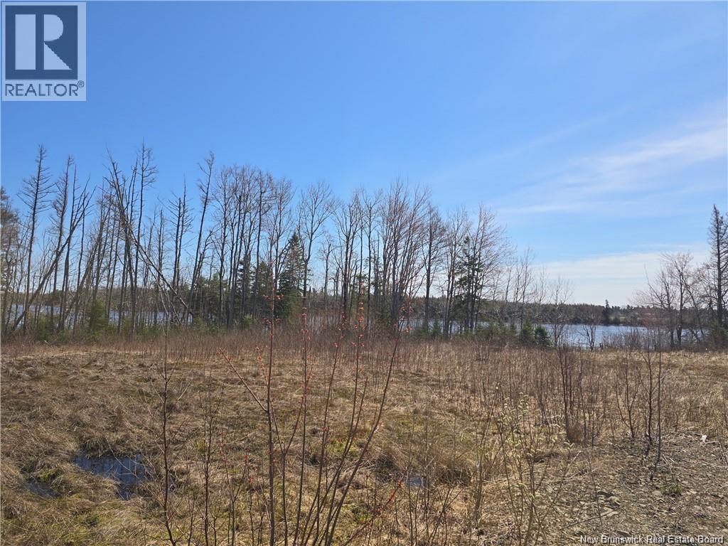 Acreage North Black River Road, Black River Bridge, New Brunswick E1N 5T3 - Photo 23 - NB140558