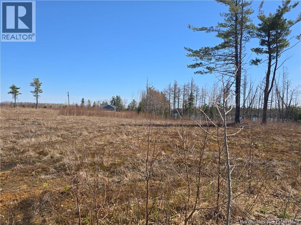 Acreage North Black River Road, Black River Bridge, New Brunswick E1N 5T3 - Photo 28 - NB140558