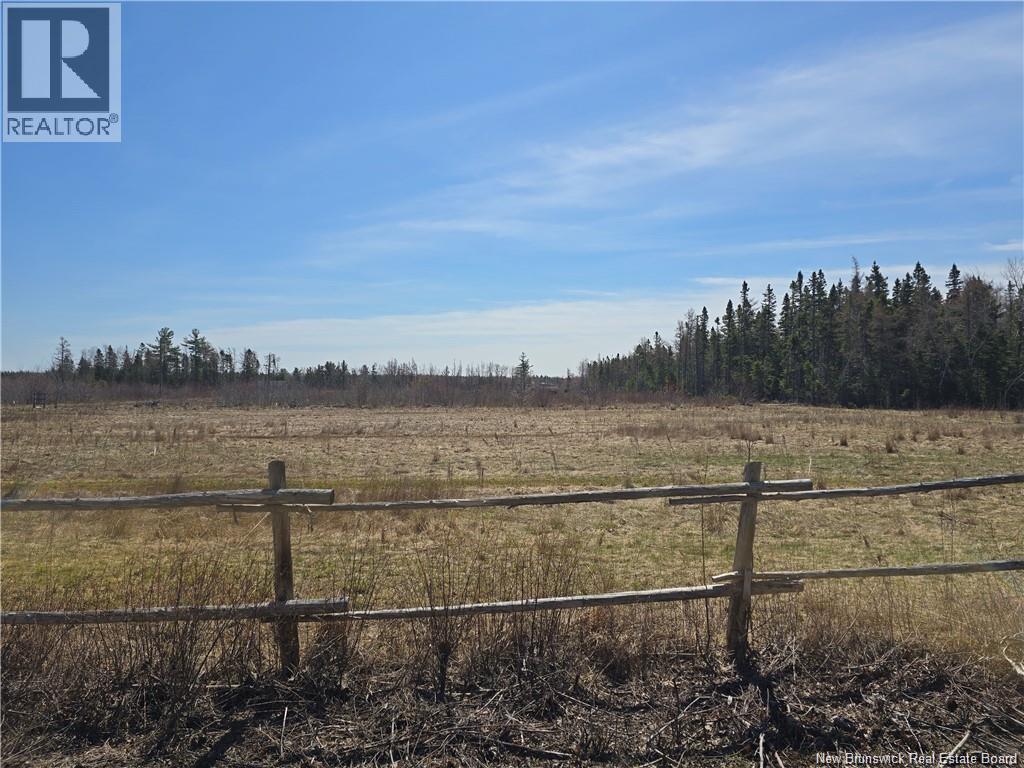 Acreage North Black River Road, Black River Bridge, New Brunswick E1N 5T3 - Photo 15 - NB140558