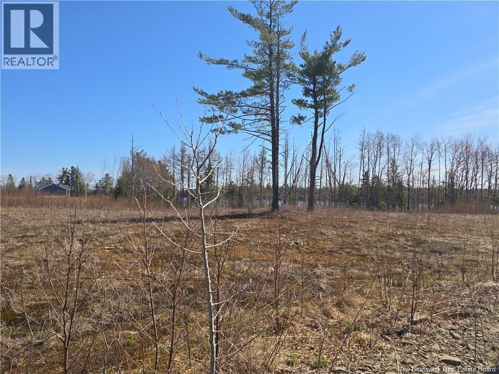 Acreage North Black River Road, Black River Bridge, New Brunswick E1N 5T3 - Photo 26 - NB140558