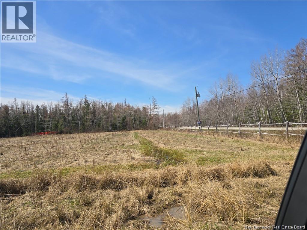 Acreage North Black River Road, Black River Bridge, New Brunswick E1N 5T3 - Photo 16 - NB140558