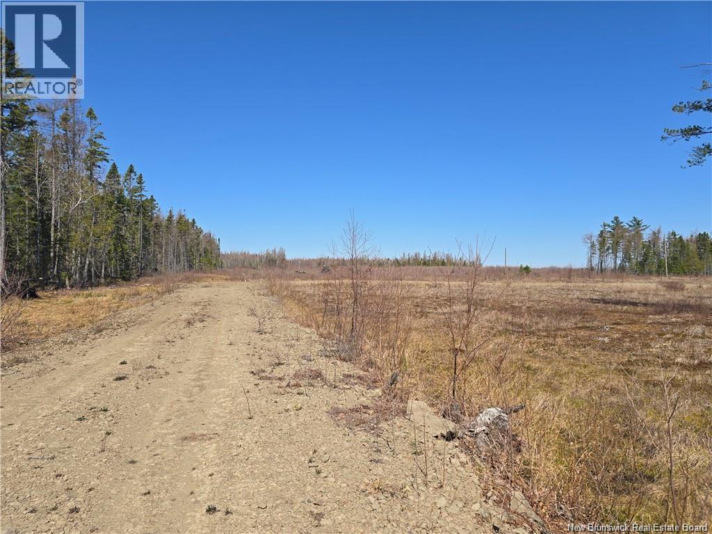 Acreage North Black River Road, Black River Bridge, New Brunswick E1N 5T3 - Photo 25 - NB140558