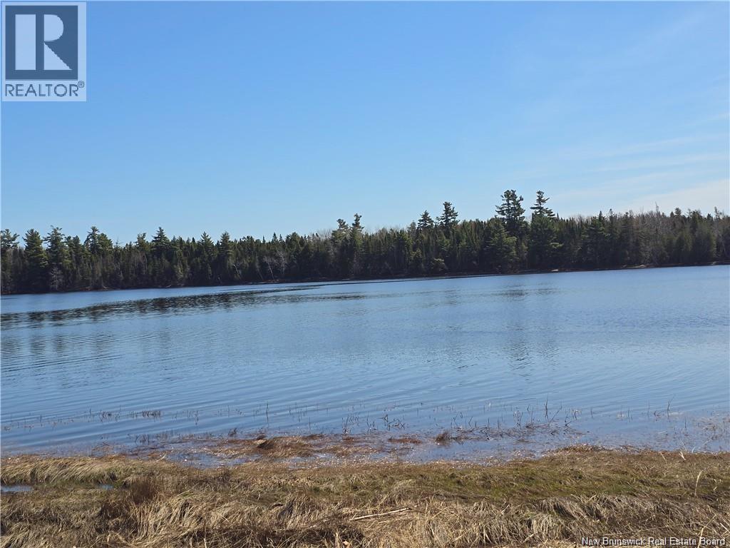 Acreage North Black River Road, Black River Bridge, New Brunswick