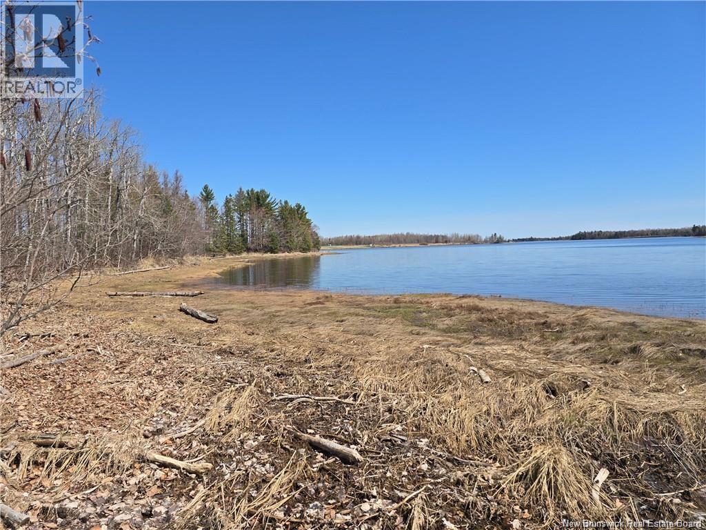 Acreage North Black River Road, Black River Bridge, New Brunswick E1N 5T3 - Photo 10 - NB140558