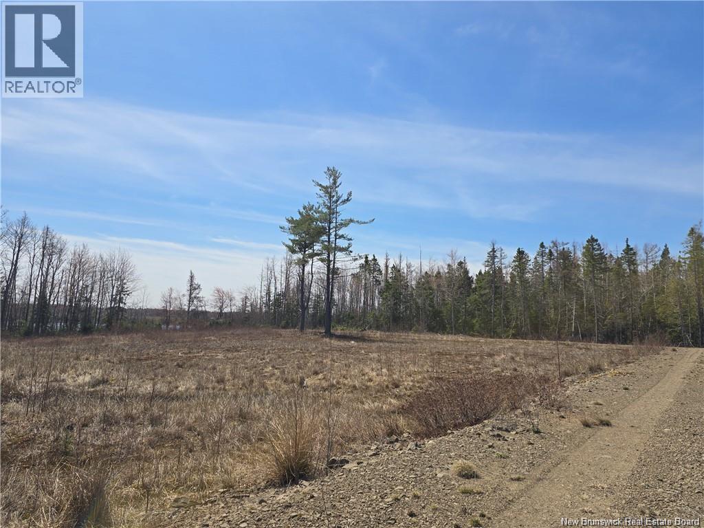 Acreage North Black River Road, Black River Bridge, New Brunswick E1N 5T3 - Photo 20 - NB140558