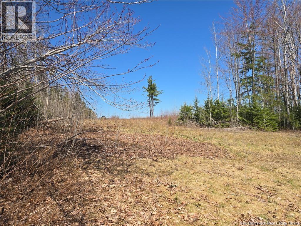 Acreage North Black River Road, Black River Bridge, New Brunswick E1N 5T3 - Photo 21 - NB140558