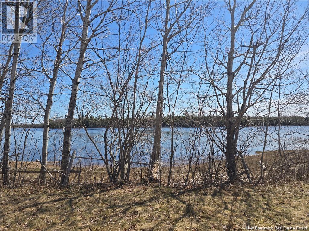 Acreage North Black River Road, Black River Bridge, New Brunswick E1N 5T3 - Photo 6 - NB140558