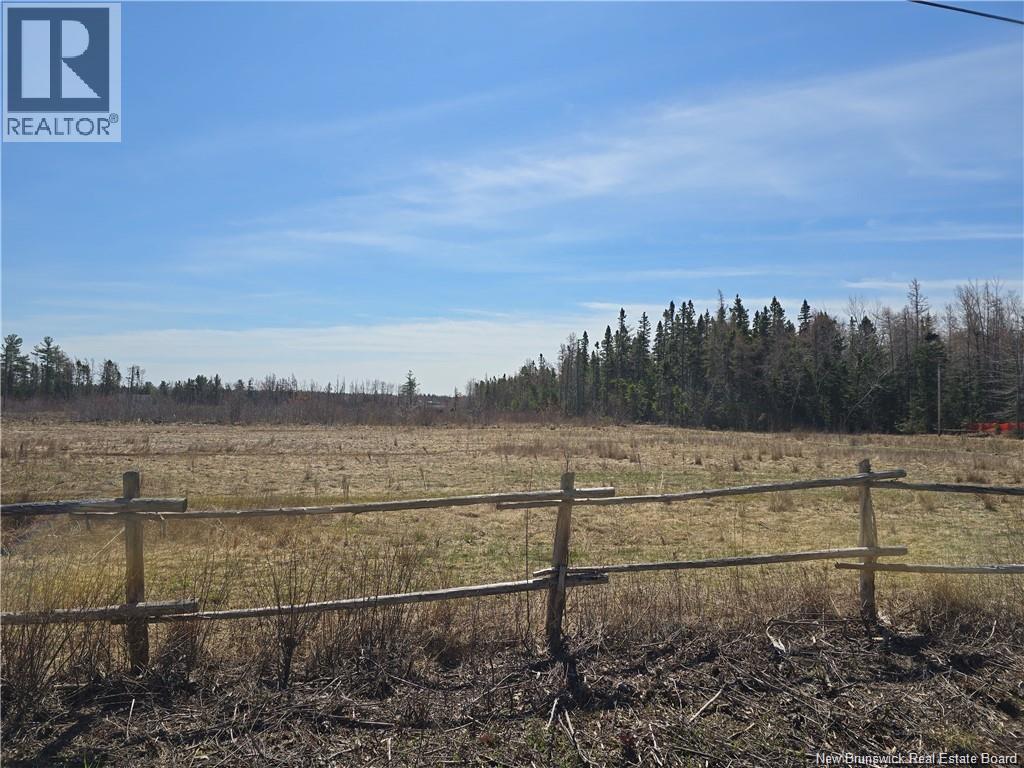 Acreage North Black River Road, Black River Bridge, New Brunswick E1N 5T3 - Photo 14 - NB140558