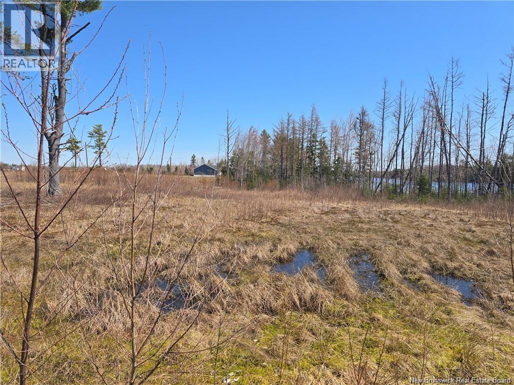 Acreage North Black River Road, Black River Bridge, New Brunswick E1N 5T3 - Photo 24 - NB140558