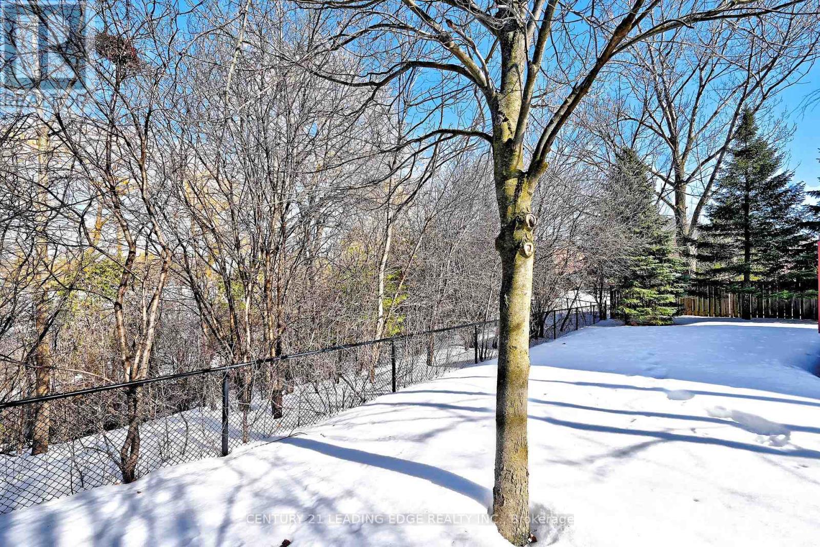 34 Pandora Court, Richmond Hill, Ontario  L4S 1J4 - Photo 42 - N13207732