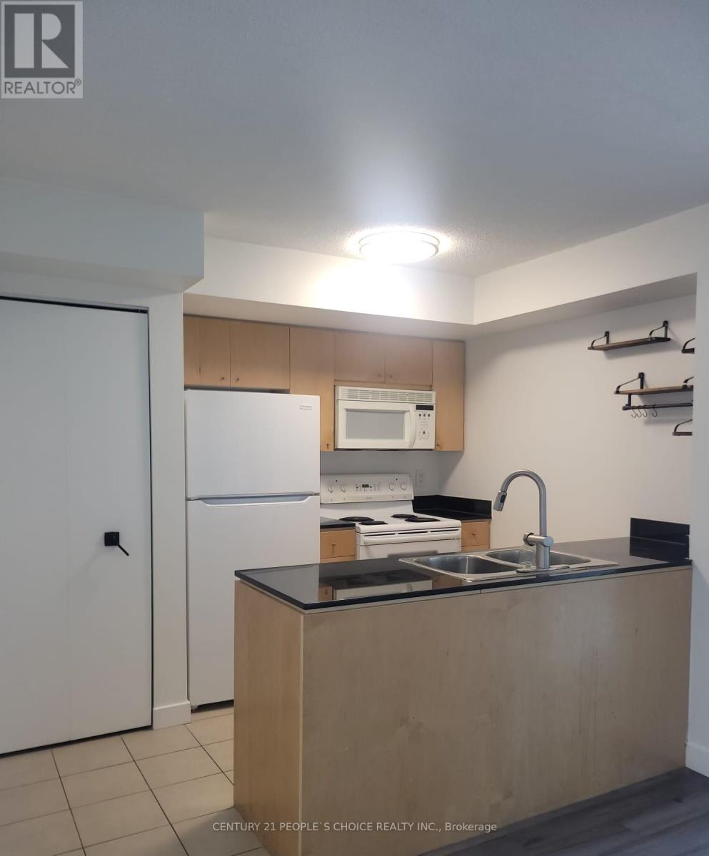 2111 - 373 Front Street W, Toronto, Ontario  M5V 3R7 - Photo 8 - C13195992