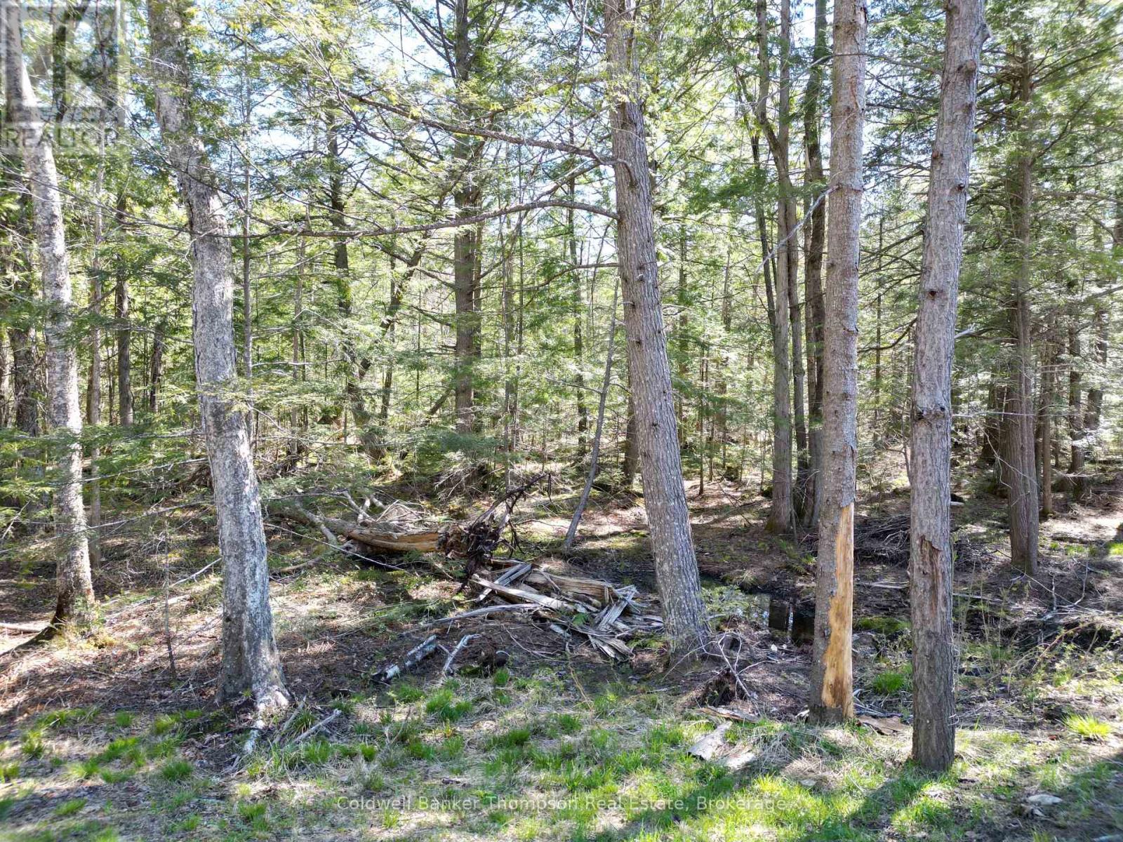 4612 Ravenscliffe Road, Mcmurrich/monteith, Ontario P0A 1Y0 - Photo 33 - X13207840