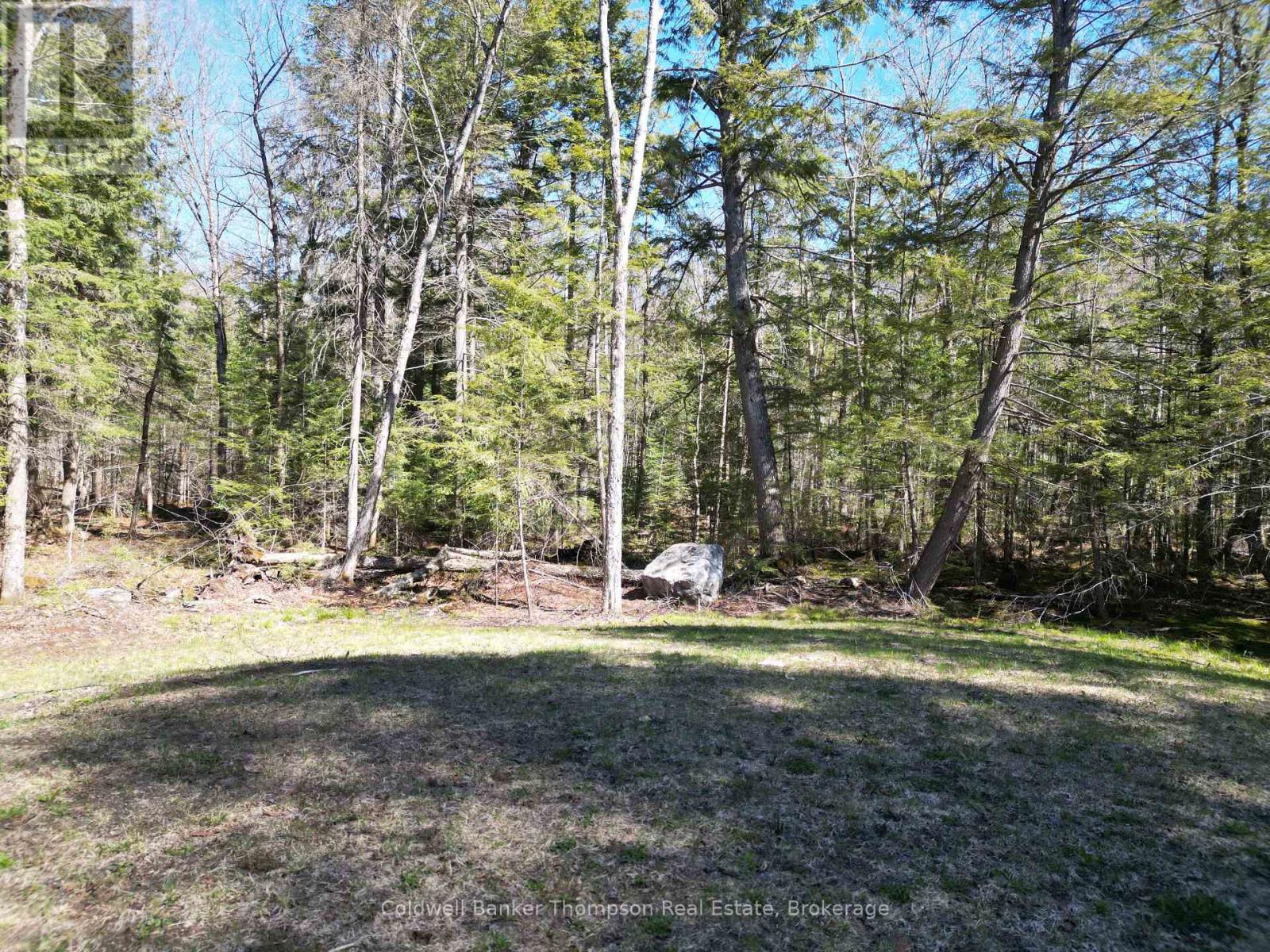 4612 Ravenscliffe Road, Mcmurrich/monteith, Ontario P0A 1Y0 - Photo 37 - X13207840