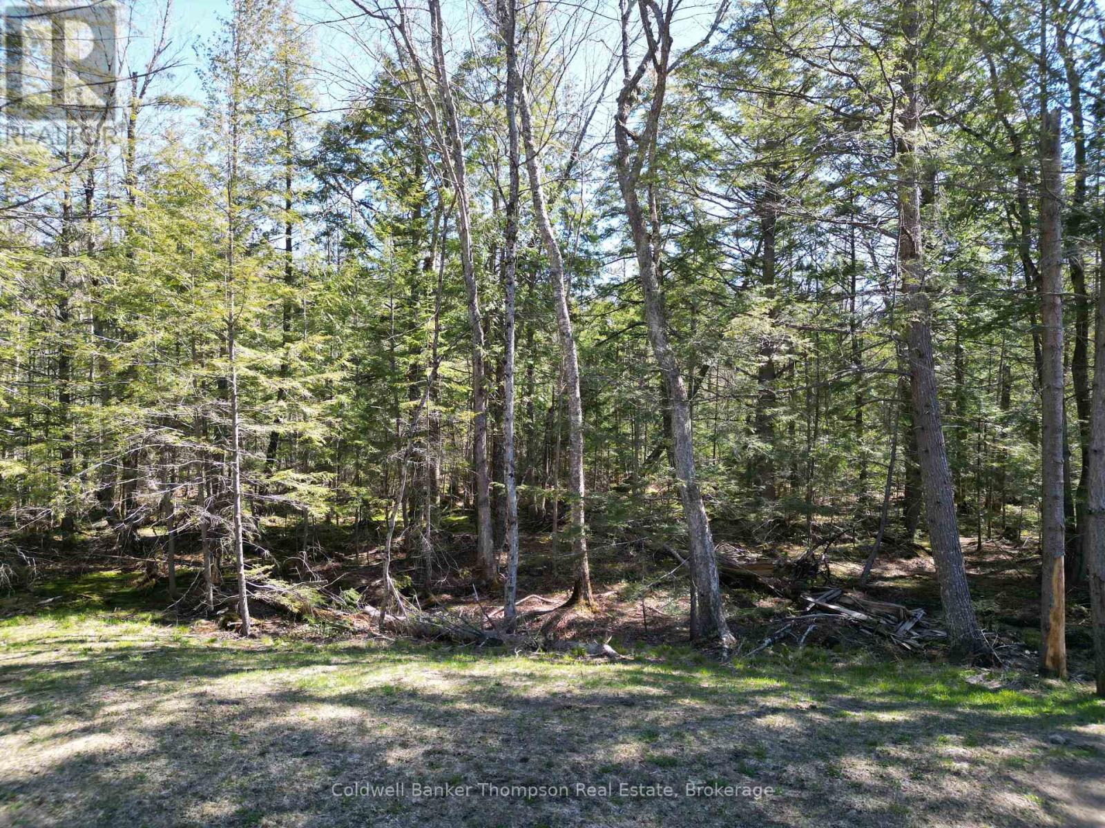 4612 Ravenscliffe Road, Mcmurrich/monteith, Ontario P0A 1Y0 - Photo 38 - X13207840