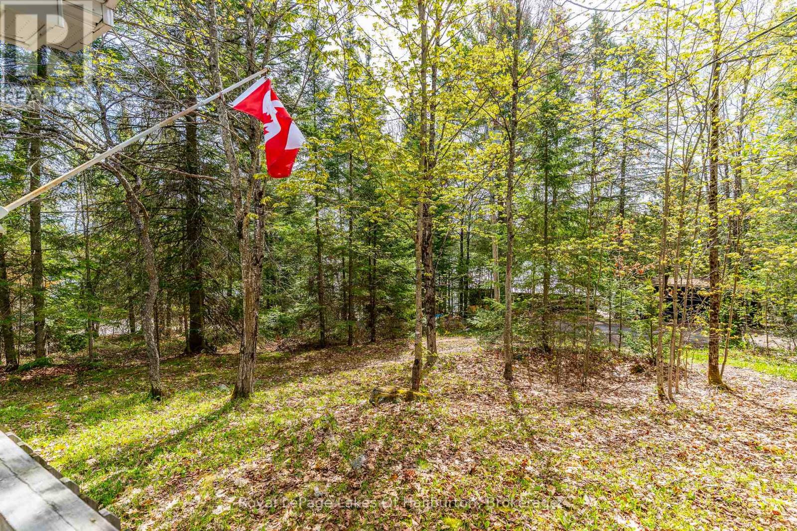1099 Yellow Rock Drive, Highlands East (Glamorgan), Ontario  K0M 1R0 - Photo 30 - X13207842
