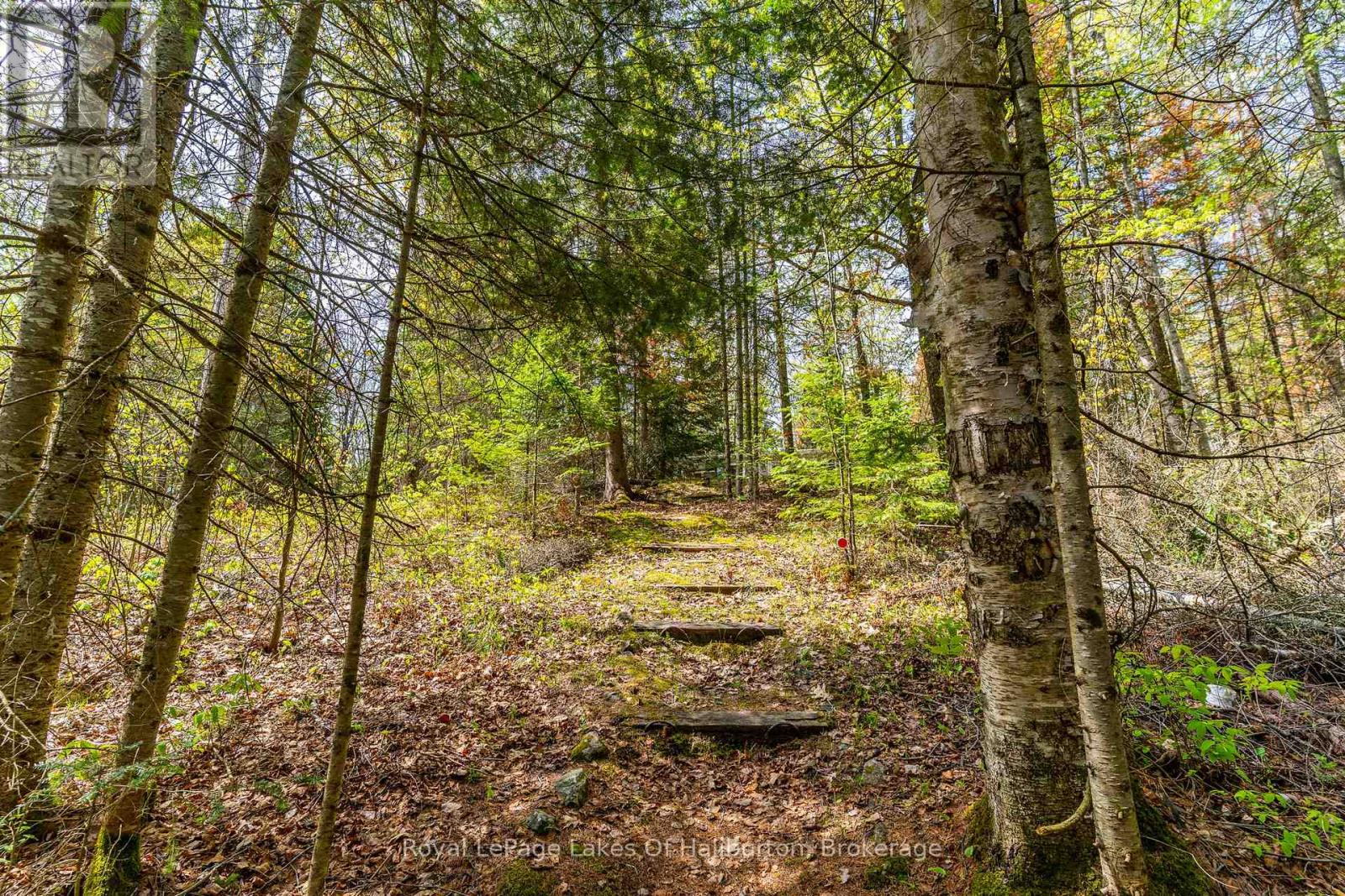 1099 Yellow Rock Drive, Highlands East (Glamorgan), Ontario  K0M 1R0 - Photo 32 - X13207842