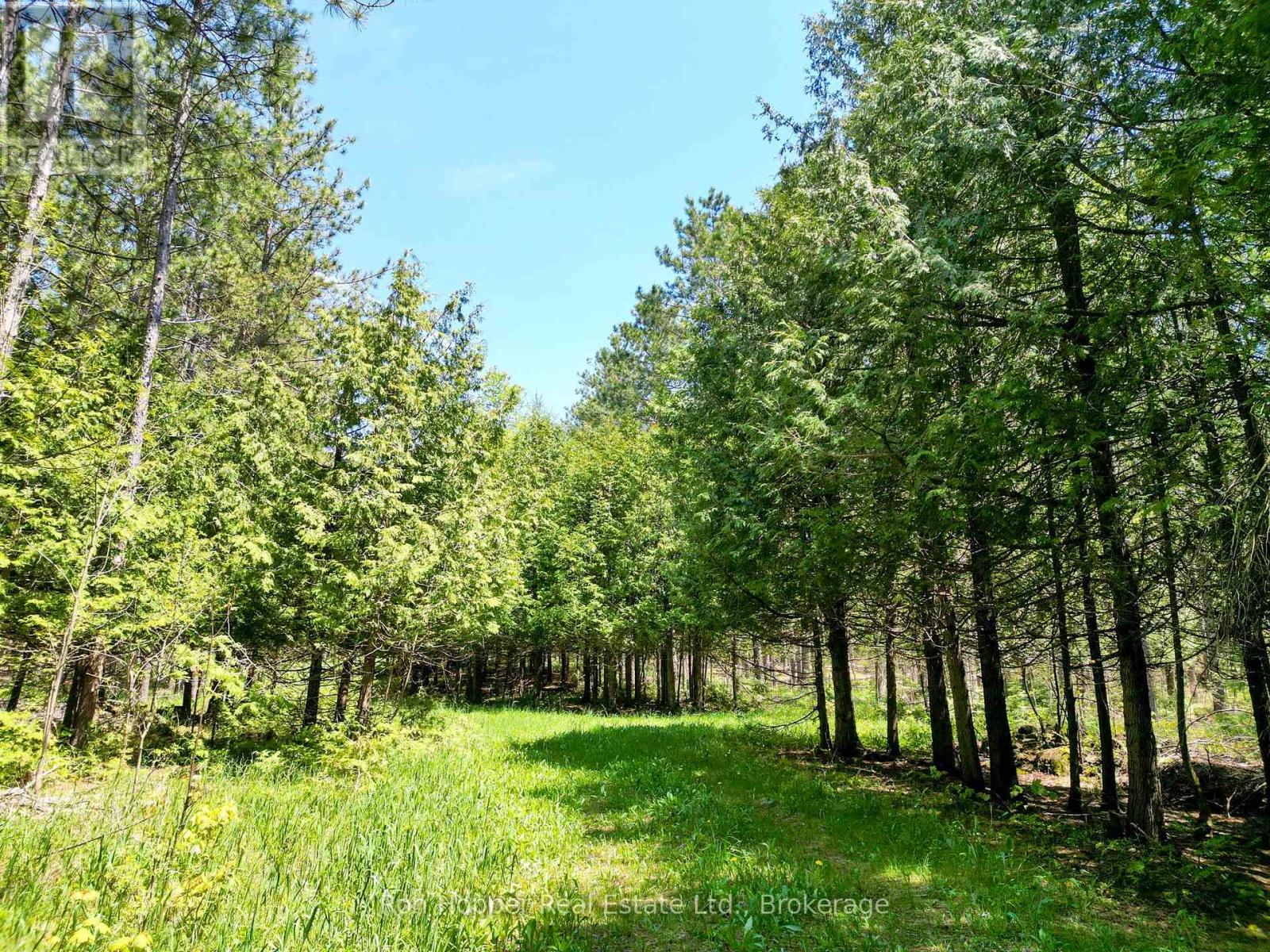 Lt 24 Conc Rd 6 Road, Chatsworth, Ontario  N0H 1K0 - Photo 10 - X13091550