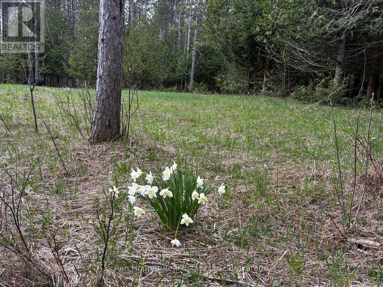 Lt 24 Conc Rd 6 Road, Chatsworth, Ontario  N0H 1K0 - Photo 15 - X13091550