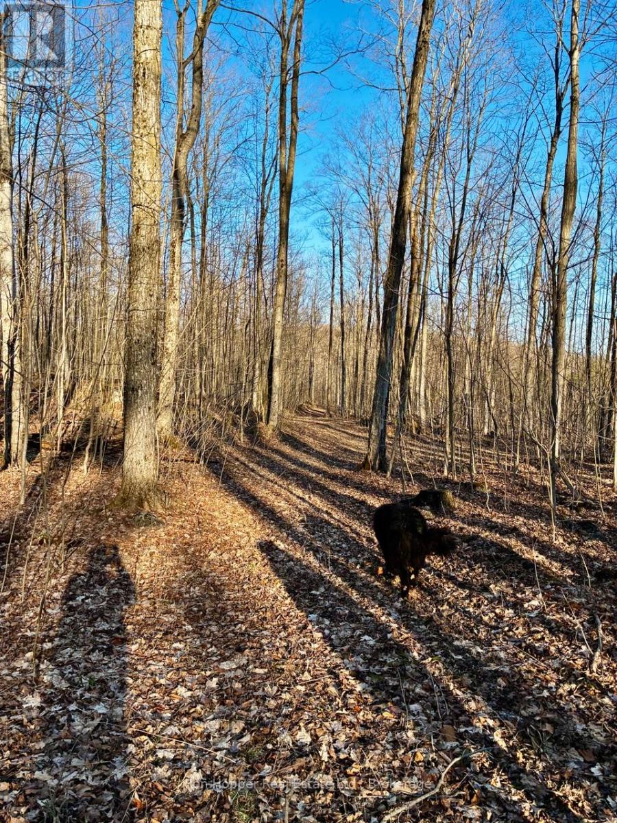 Lt 24 Conc Rd 6 Road, Chatsworth, Ontario  N0H 1K0 - Photo 23 - X13091550