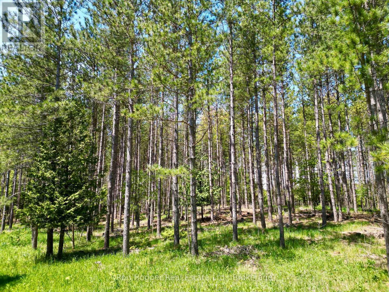 Lt 24 Conc Rd 6 Road, Chatsworth, Ontario  N0H 1K0 - Photo 5 - X13091550