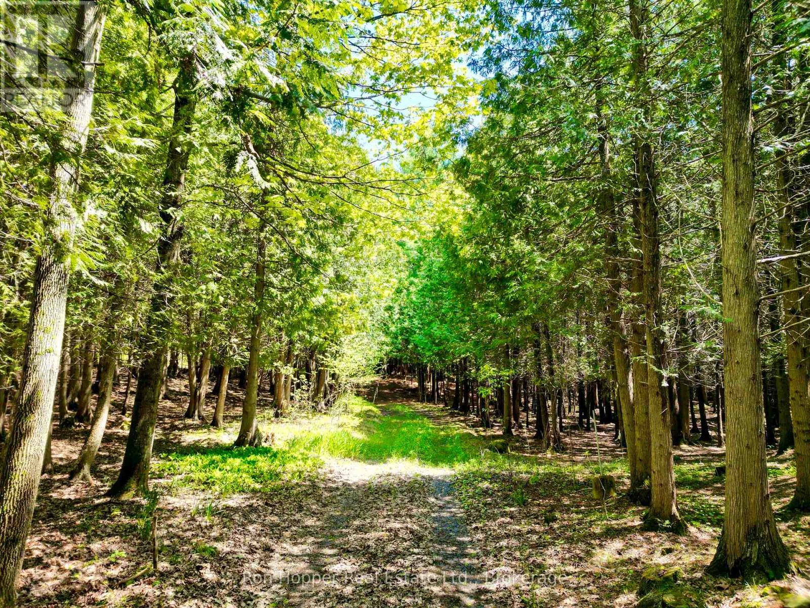Lt 24 Conc Rd 6 Road, Chatsworth, Ontario  N0H 1K0 - Photo 7 - X13091550