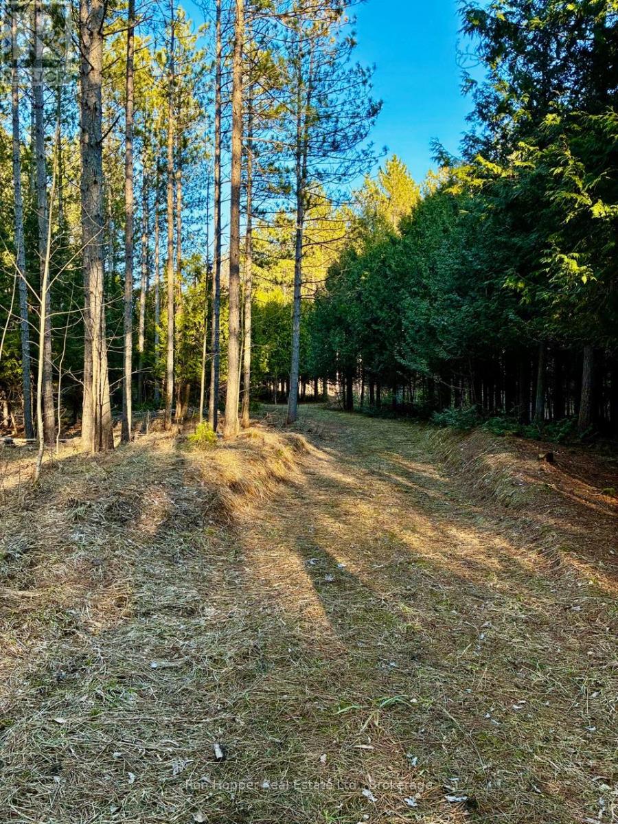 Lt 24 Conc Rd 6 Road, Chatsworth, Ontario  N0H 1K0 - Photo 21 - X13091550