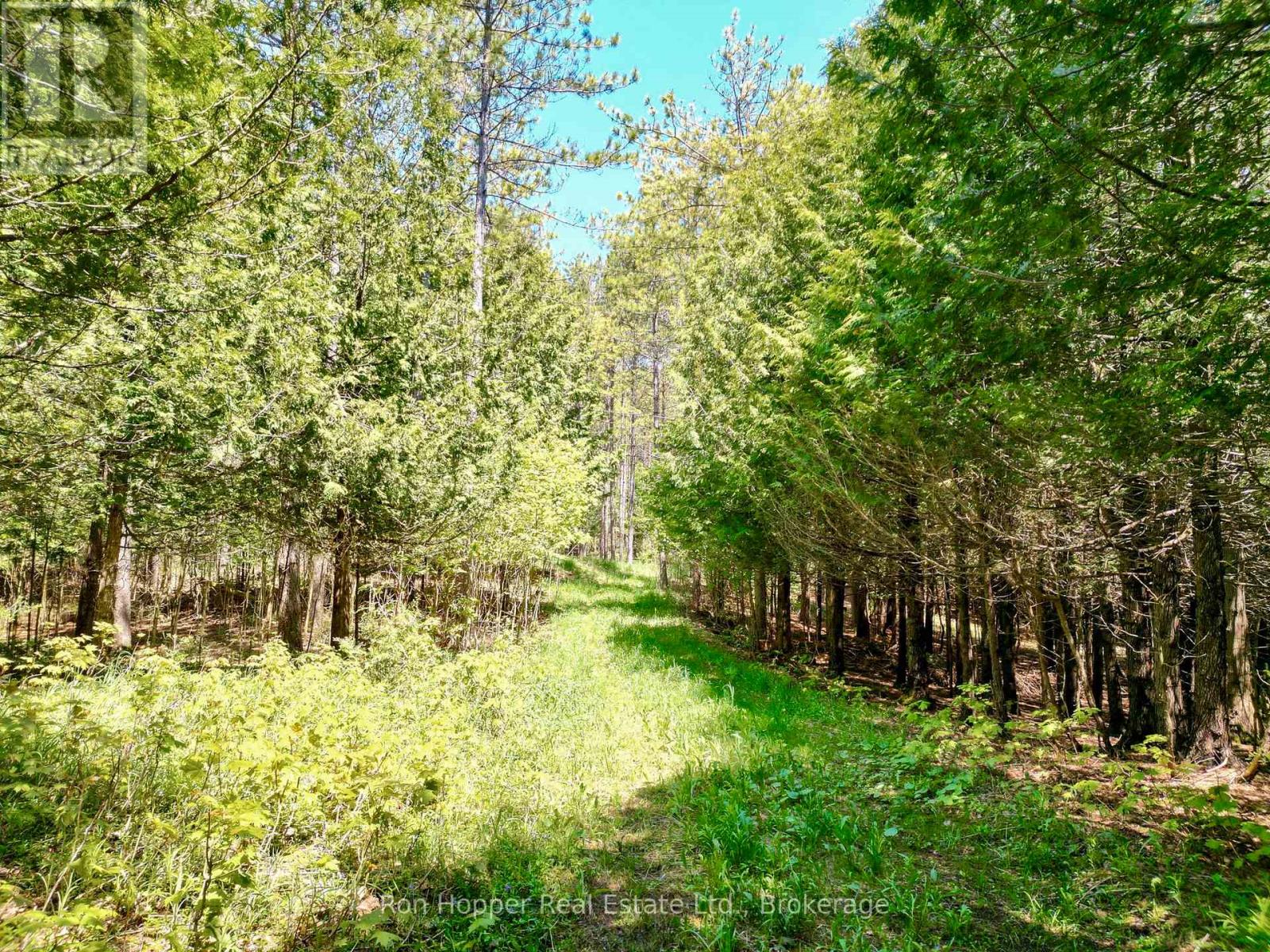 Lt 24 Conc Rd 6 Road, Chatsworth, Ontario  N0H 1K0 - Photo 8 - X13091550