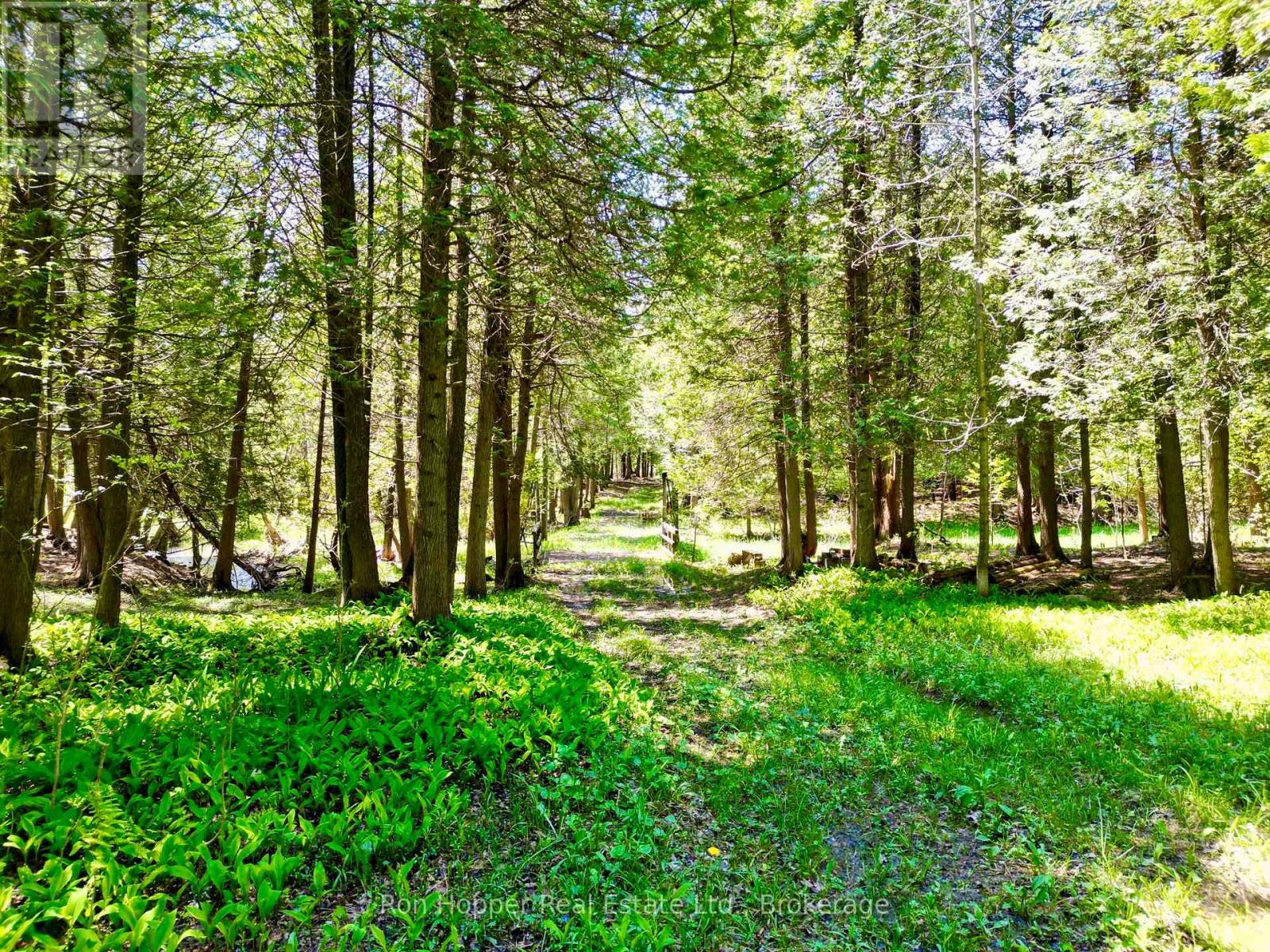 Lt 24 Conc Rd 6 Road, Chatsworth, Ontario  N0H 1K0 - Photo 6 - X13091550