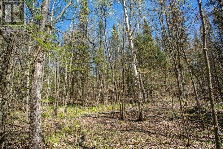 Concession Road 5, Bruce Mines, Ontario  P0R 1C0 - Photo 23 - SM261209