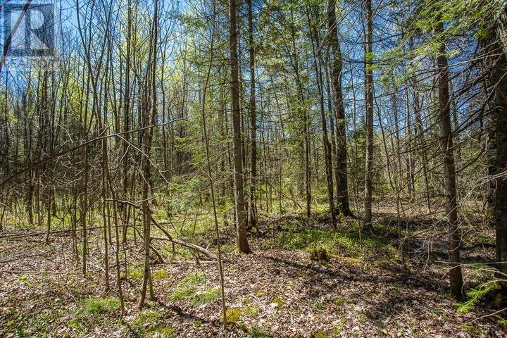 Concession Road 5, Bruce Mines, Ontario  P0R 1C0 - Photo 21 - SM261209