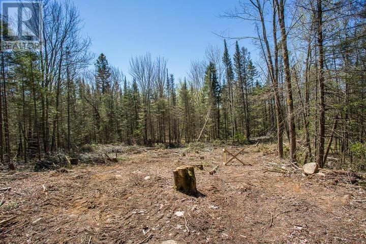 Concession Road 5, Bruce Mines, Ontario  P0R 1C0 - Photo 16 - SM261209