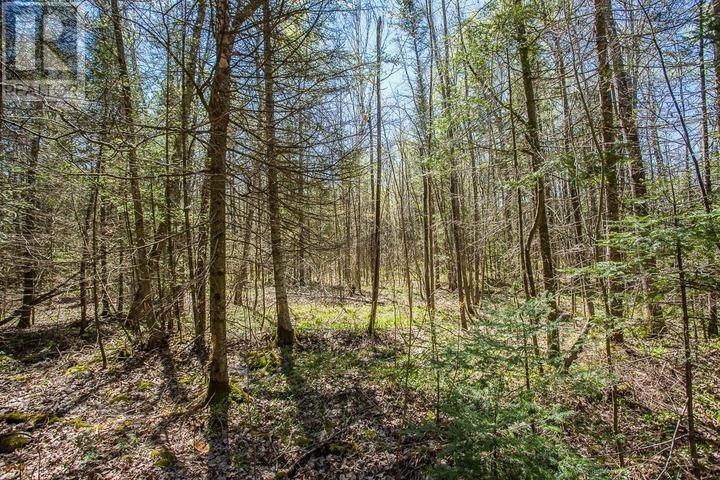 Concession Road 5, Bruce Mines, Ontario  P0R 1C0 - Photo 20 - SM261209
