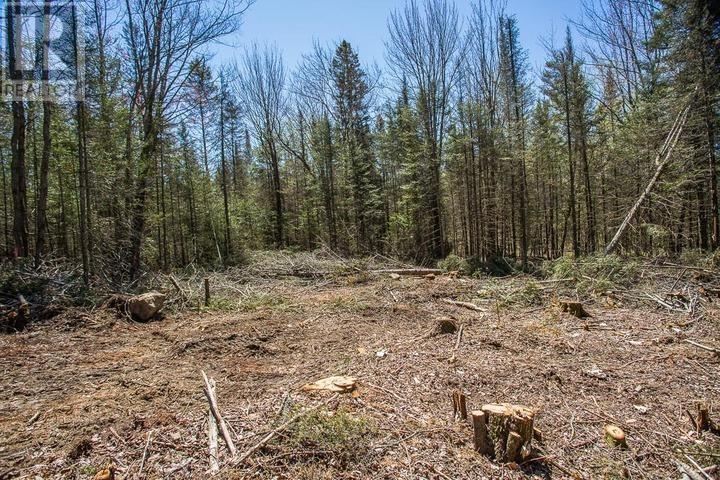 Concession Road 5, Bruce Mines, Ontario  P0R 1C0 - Photo 17 - SM261209