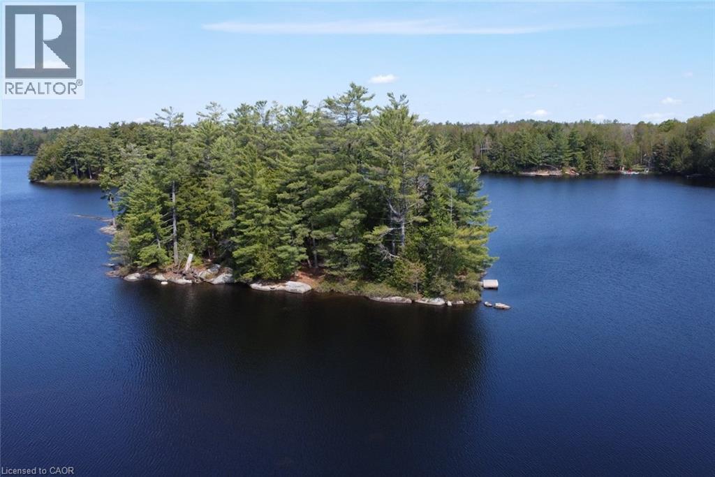 1175 Dickie Lake Road W, Baysville, Ontario  P0B 1A0 - Photo 40 - 40834236