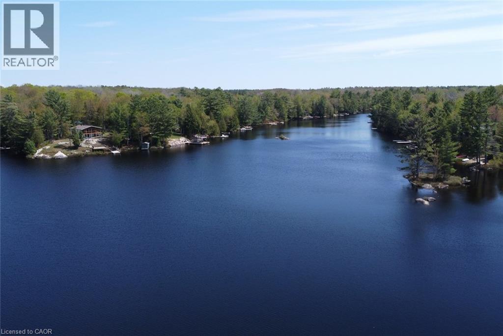 1175 Dickie Lake Road W, Baysville, Ontario  P0B 1A0 - Photo 41 - 40834236