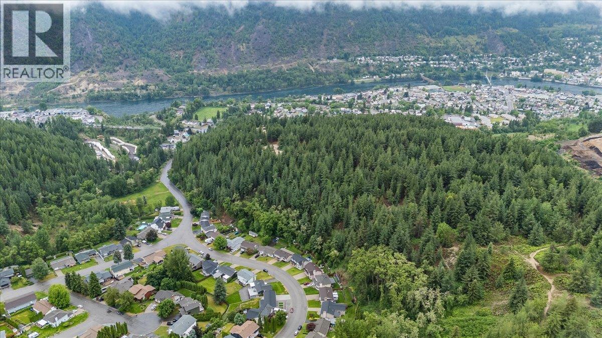 2321 Mcbride Street, Trail, British Columbia  V1R 3A6 - Photo 77 - 10389043