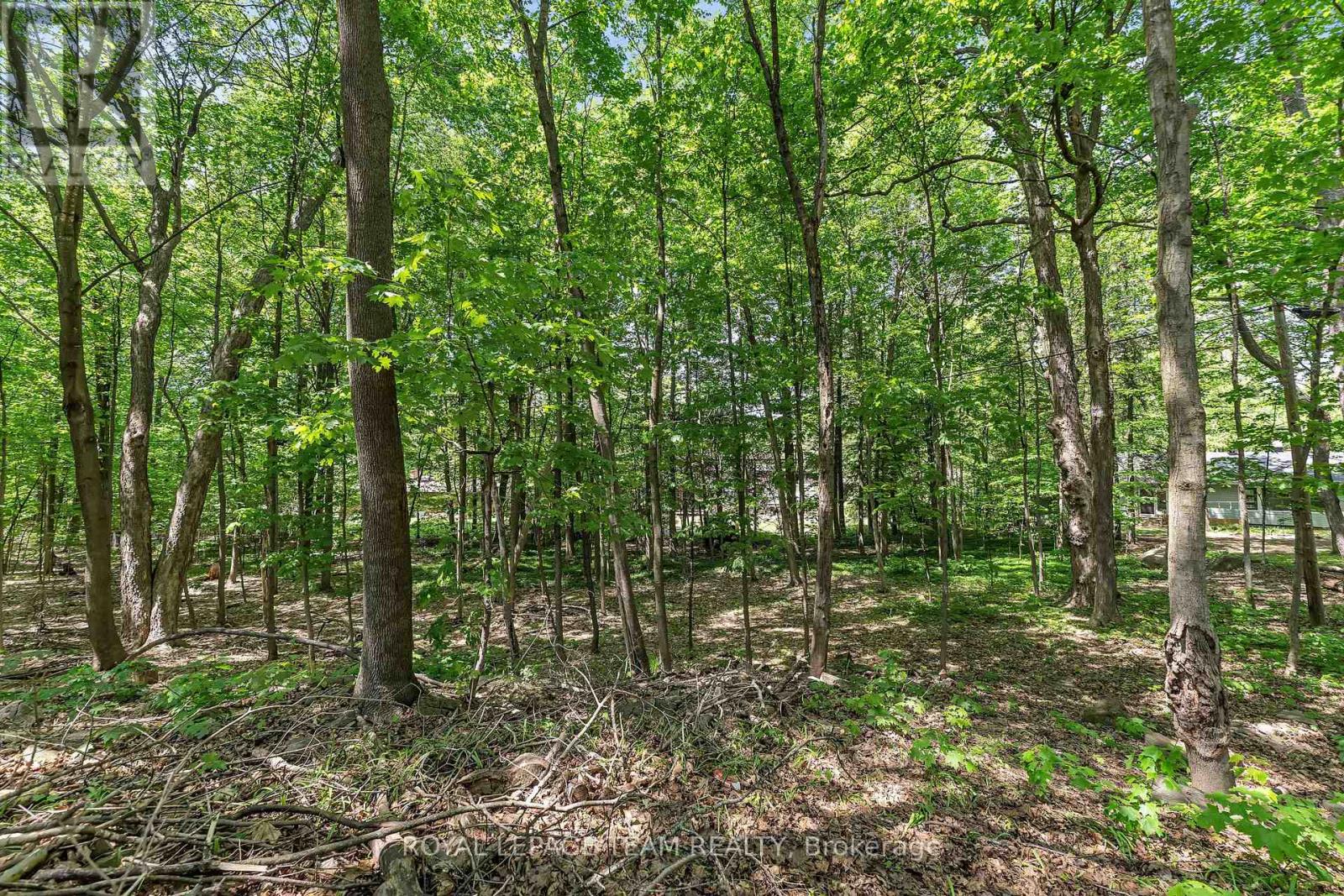 2 Fairhaven Way, Ottawa, Ontario  K1K 0R3 - Photo 36 - X13208138