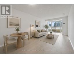519 - 85 EAST LIBERTY STREET, Toronto, Ontario
