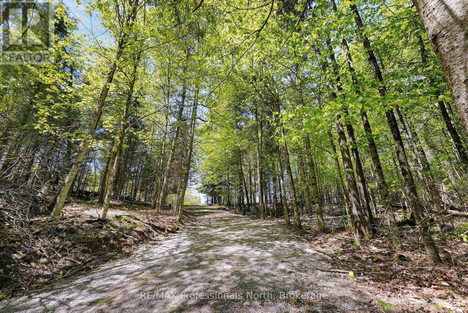 1366 Hospitality Road, Minden Hills (Snowdon), Ontario  K0M 2K0 - Photo 43 - X13208804