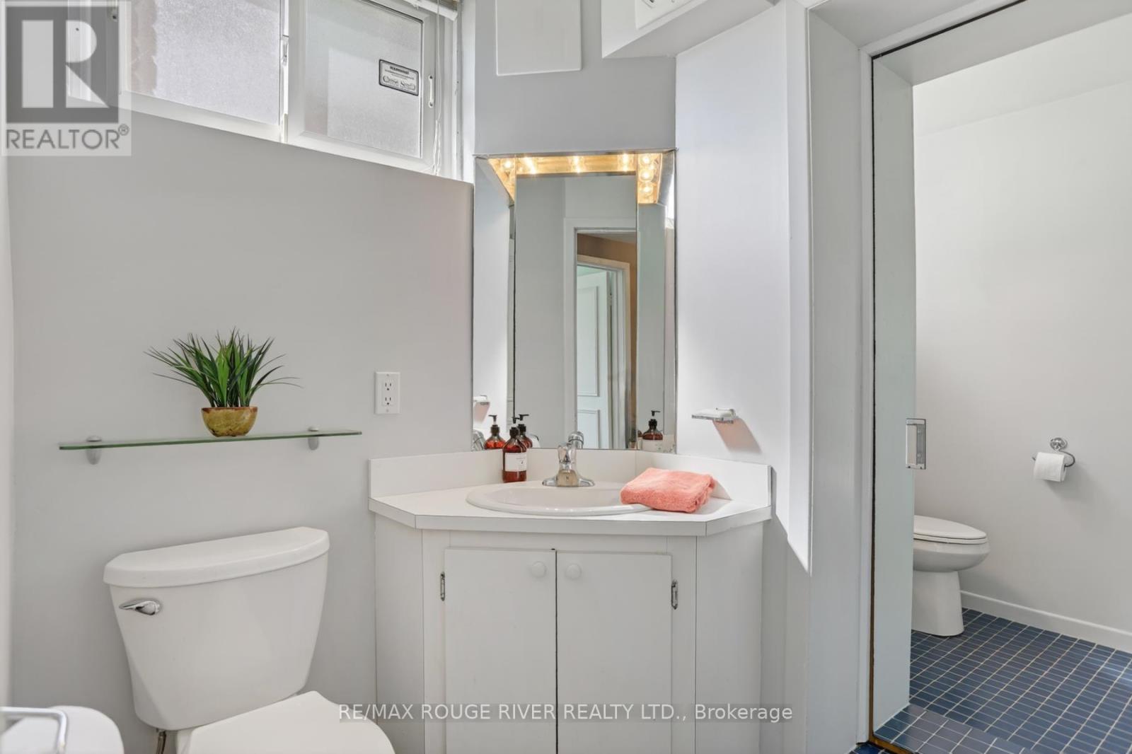250 Ridgewood Road, Toronto, Ontario  M1C 2X2 - Photo 35 - E13208772