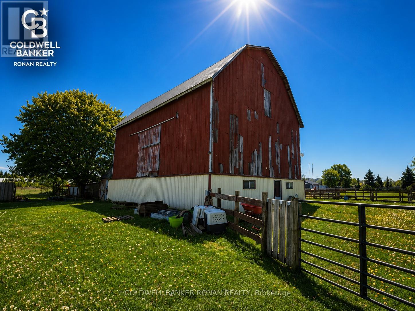 6703 Pine Plains Road E, Adjala-Tosorontio, Ontario  L0M 1J0 - Photo 11 - N13208862