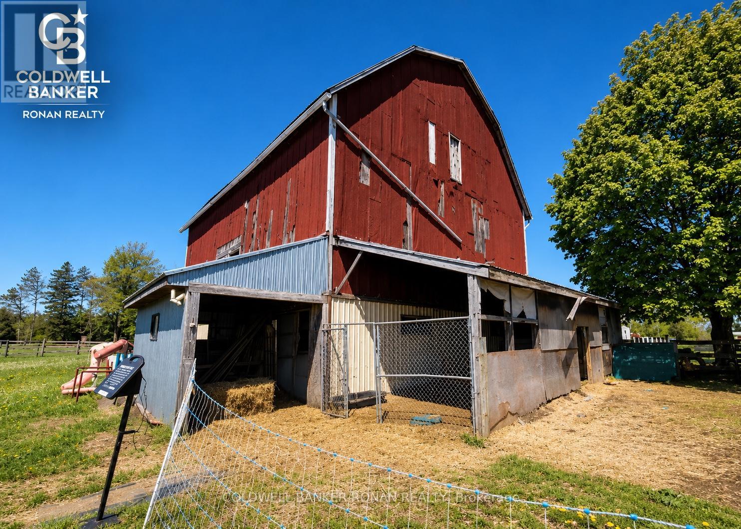 6703 Pine Plains Road E, Adjala-Tosorontio, Ontario  L0M 1J0 - Photo 13 - N13208862