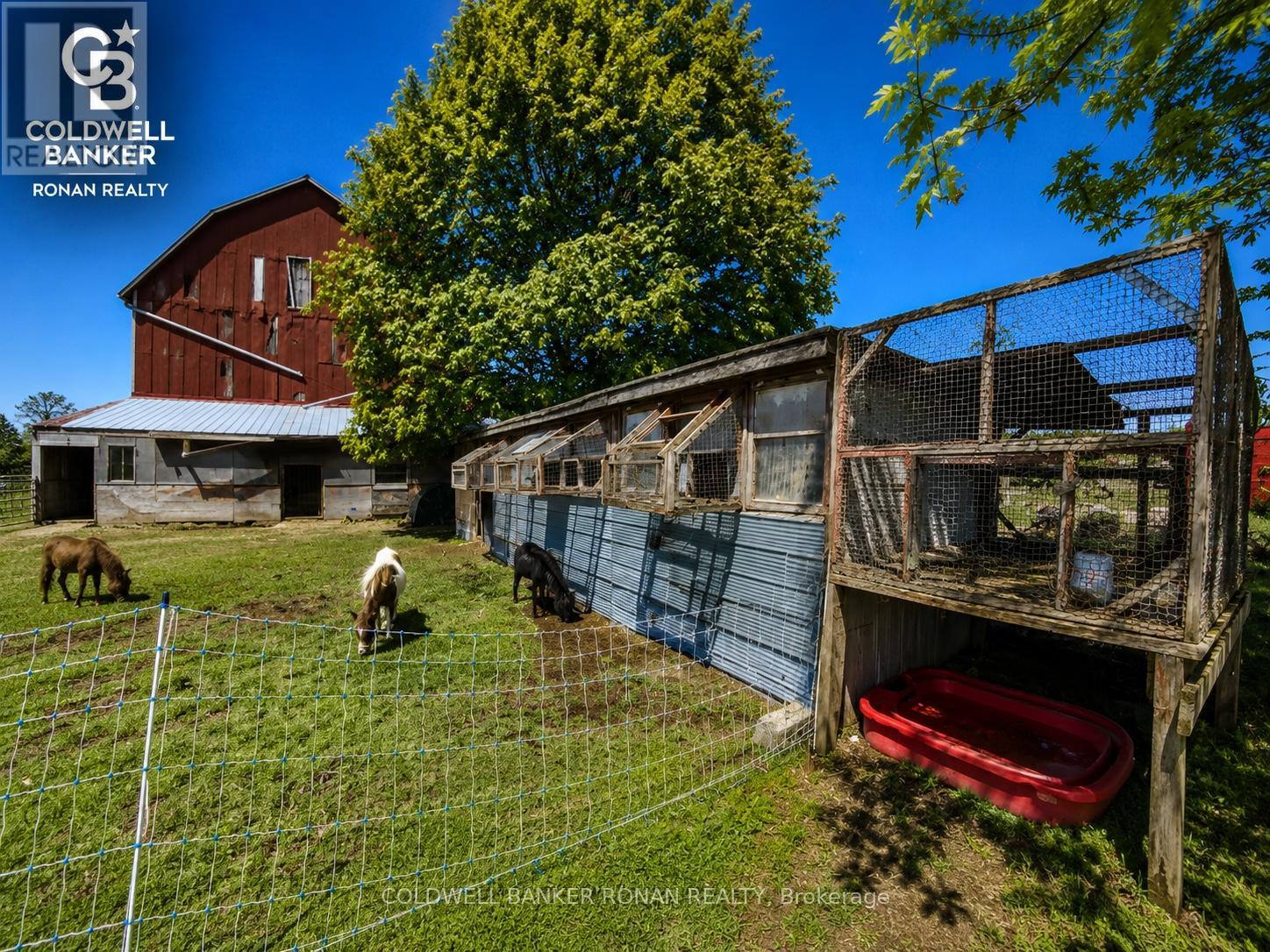 6703 Pine Plains Road E, Adjala-Tosorontio, Ontario  L0M 1J0 - Photo 2 - N13208862