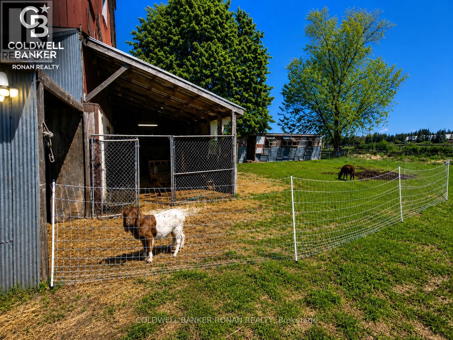 6703 Pine Plains Road E, Adjala-Tosorontio, Ontario  L0M 1J0 - Photo 6 - N13208862